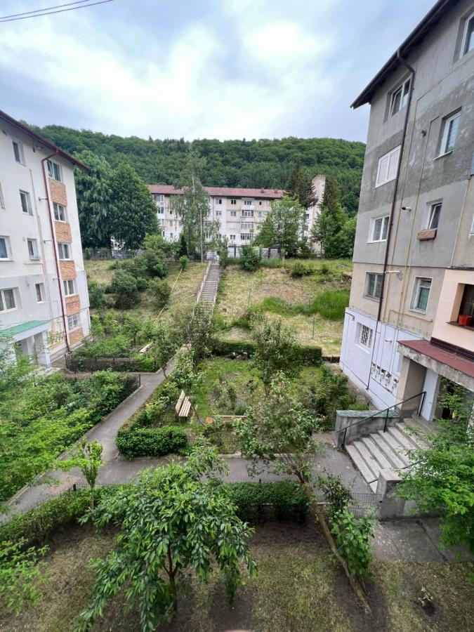 The Retreat Apartment Sinaia Bagian luar foto